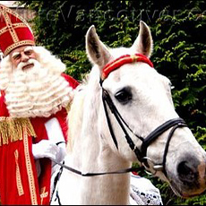 Sinterklaas en paard Amigo